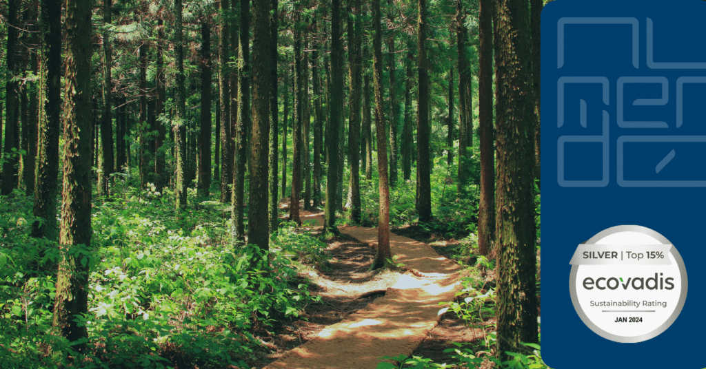 RSE - Ecovadis Silver foret remplie d'arbres verts